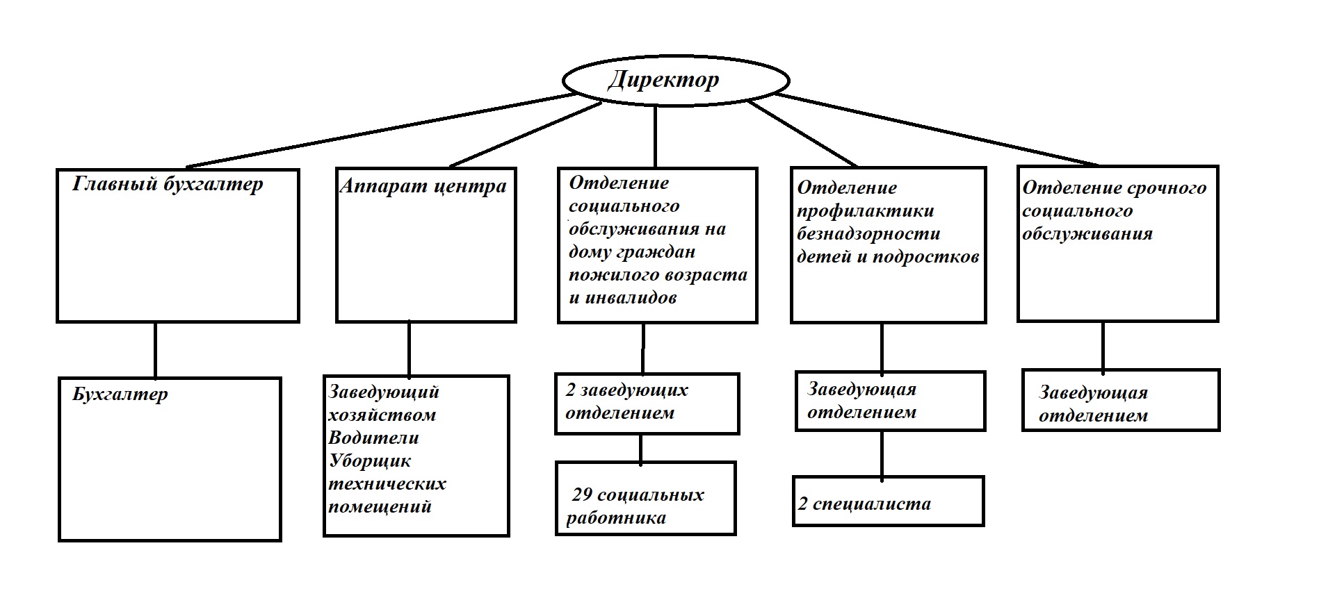 Структура организации